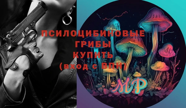 МДПВ Алексеевка