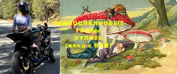 МДПВ Алексеевка