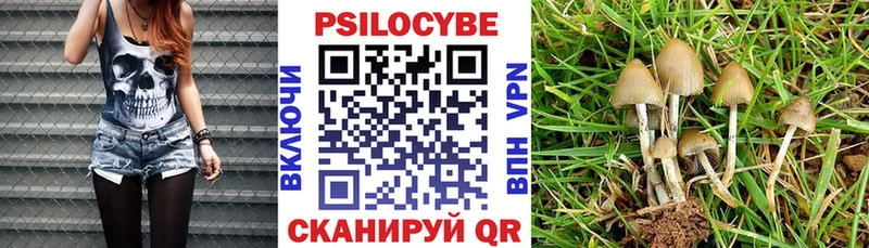 hydra сайт  Мегион  Псилоцибиновые грибы Psilocybe  как найти закладки 