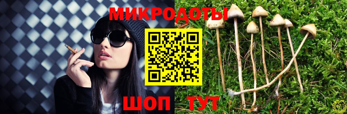 Галлюциногенные грибы Psilocybine cubensis Мегион